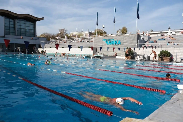 Источник: chayka-sport.ru