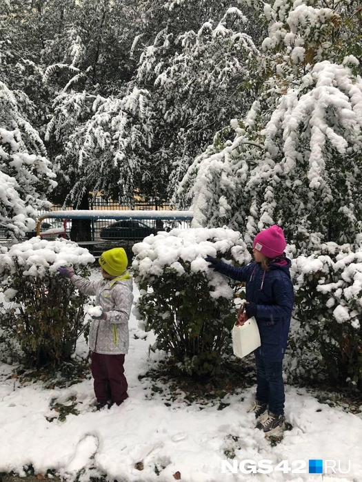 Зато дети счастливы от приближающейся атмосферы праздника и волшебства | Источник: Александр Левчук / NGS42.RU