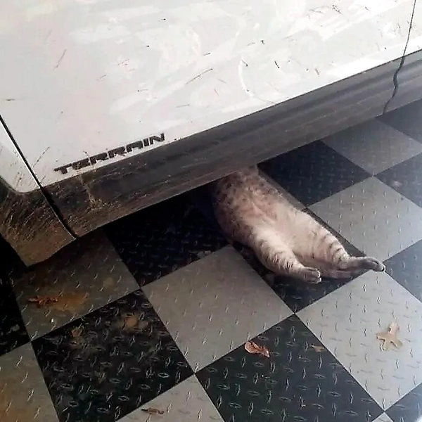 Источник: соцсети