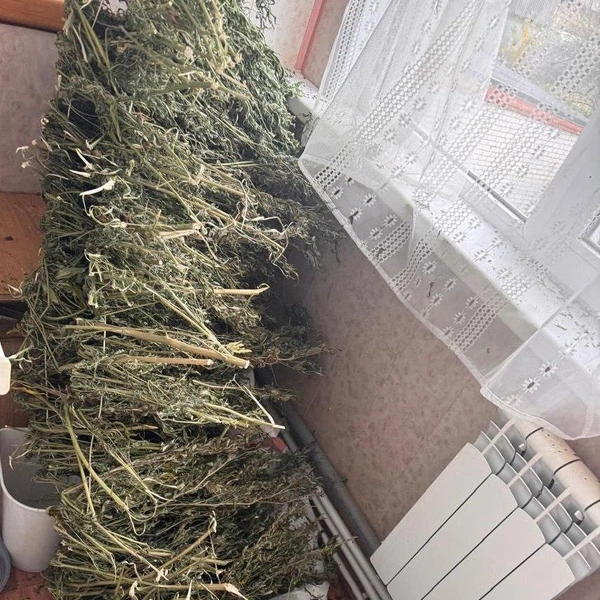 Источник: УМВД по Рязанской области