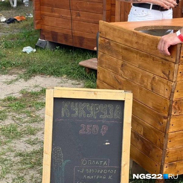 Источник: Полина Шевчукова / NGS22.RU