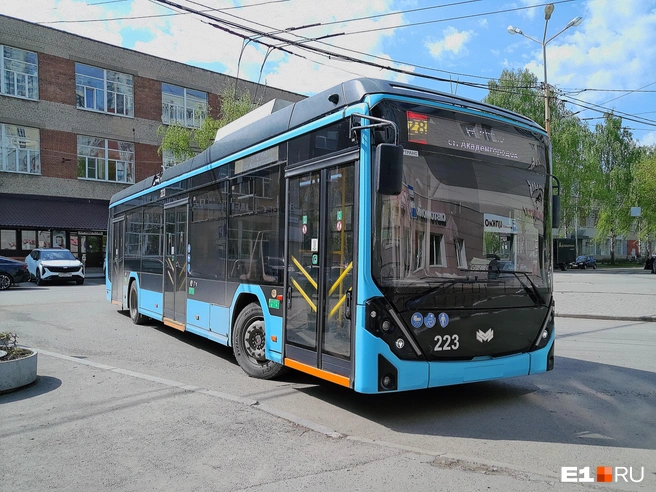 Источник: Роман Марьяненко / E1.RU