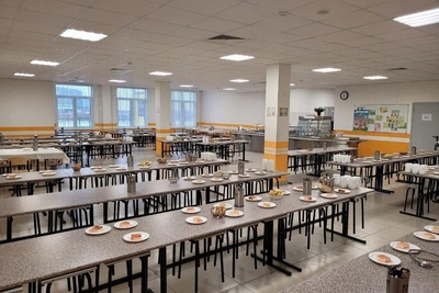 Inspectors Find Cockroaches in Dyadkovskaya School