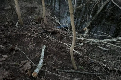 Тело в чемодане обнаружили на северо-востоке Москвы