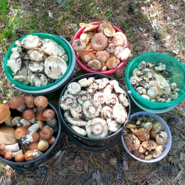 Источник: читатель «Чита.Ру»