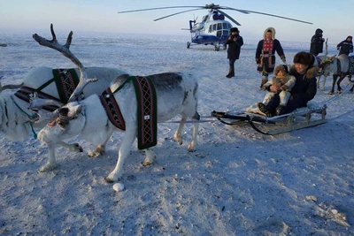 Якутия сохранила оленеводческое хозяйство после указа Путина
