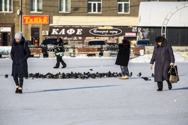 В конце недели стоит ждать снегопадов | Источник: архив НГС