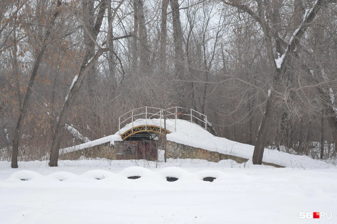 Источник: Анастасия Баринова / 56.RU