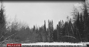 Кажется, что на шестом фото мы видим только лес