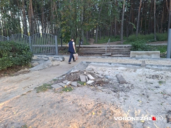 Источник: Алена Воропаева / Voronezh1.ru