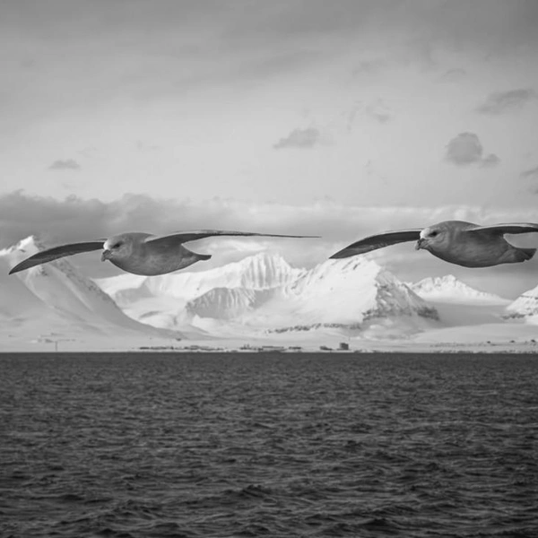 Источник: Mats Carduner / Exposure One Awards 2025