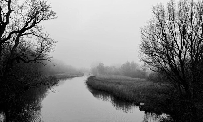 Источник: Jens Petersen / Ippawards.com