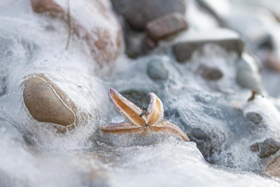 Морозы до -39 в Приморье на выходных