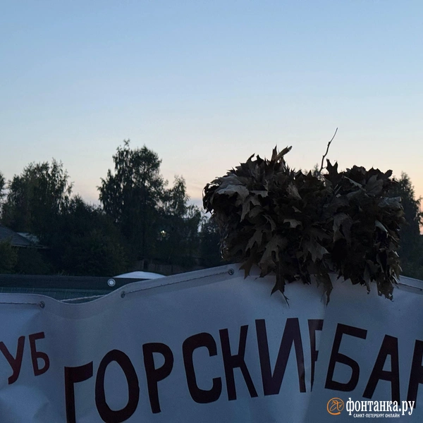 Источник: Милена Солдатенко / Фонтанка.ру