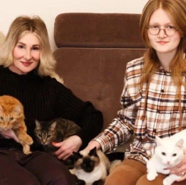 Котобанда Оксаны Токаревой. На снимке нет только Ватсона, который жил у ее мамы  | Источник: Оксана Токарева 