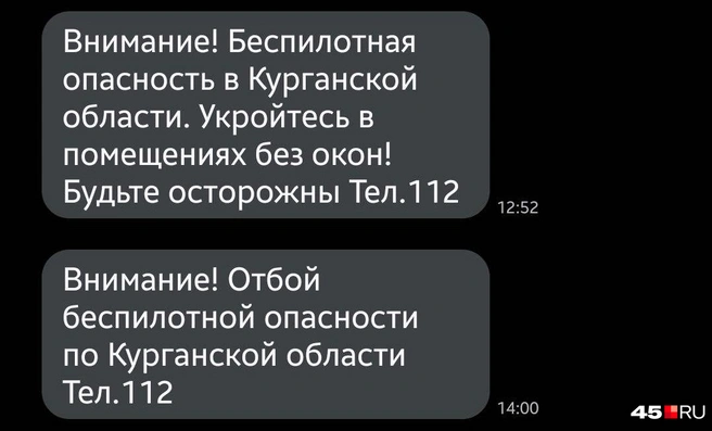 Источник: Александр Лисихин / 45.RU 