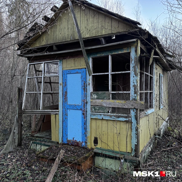 Источник: Алина Мельникова / MSK1.RU
