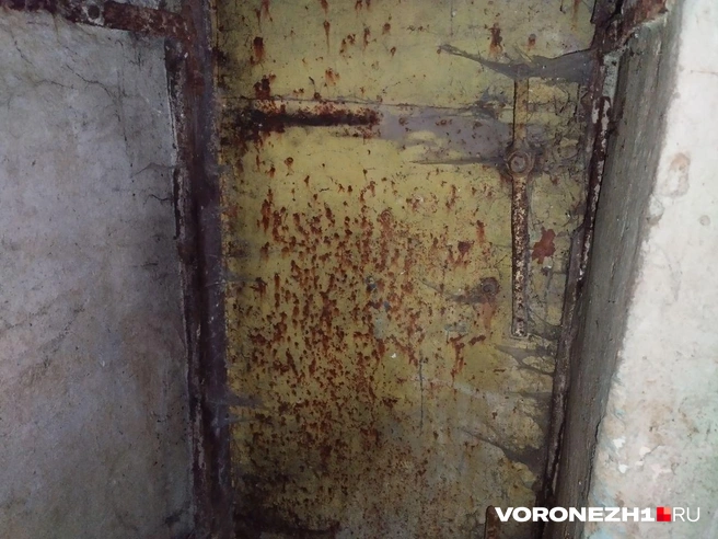 Источник: Дмитрий Волгин / Voronezh1.ru