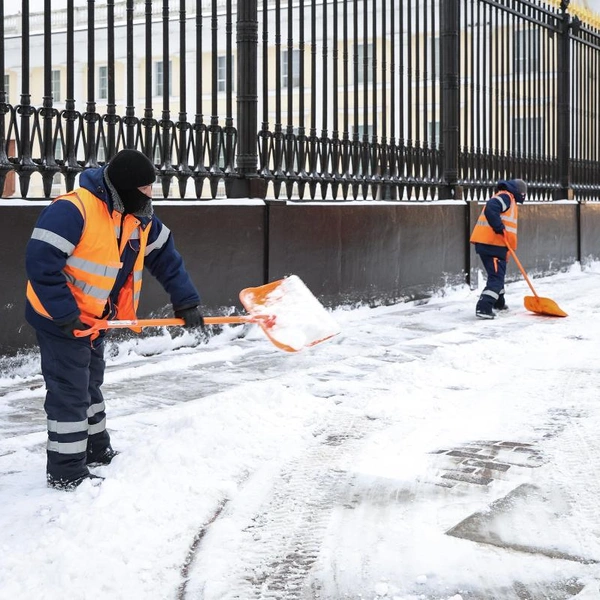 Источник: Комитет по благоустройству Петербурга