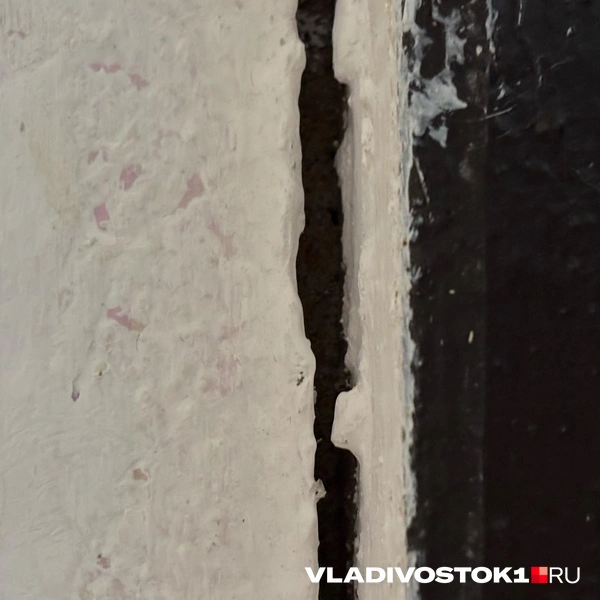 Источник: Елена Буйвол / VLADIVOSTOK1.RU