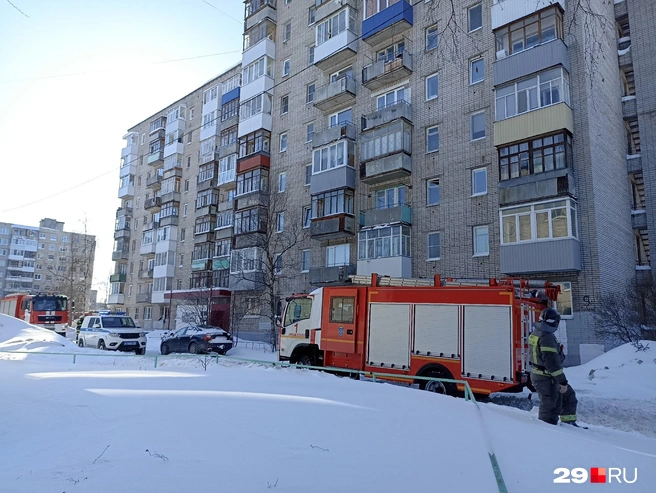 Источник: Иван Митюшёв / 29.RU