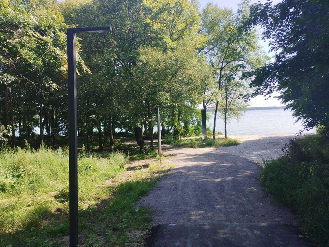 Источник: Дмитрий Волгин / Voronezh1.ru