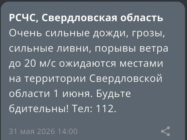 Осадки продлятся до 1 июня включительно | Источник: читатель E1.RU