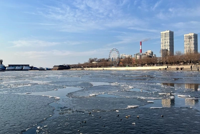 Экс-губернатор Дарькин и дочь в списке кандидатов в совет Владморрыбпорта
