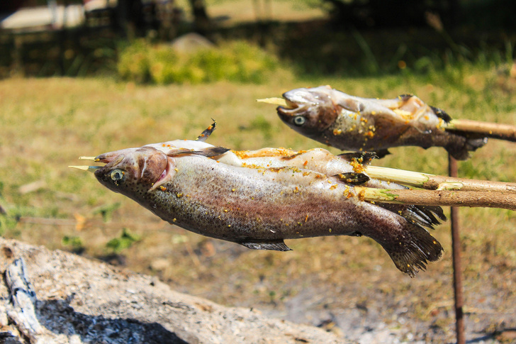 Первый в мире повар: найдены остатки рыбы, которую пожарили на костре 800 тысяч лет назад