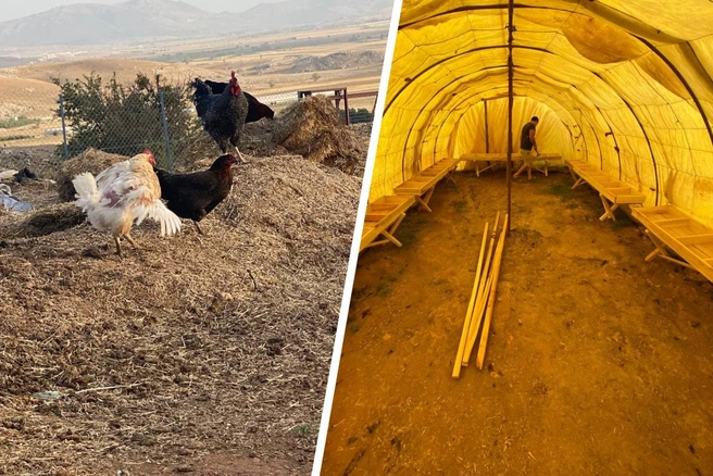 В Турции Артем начал разводить кур | Источник: Артем