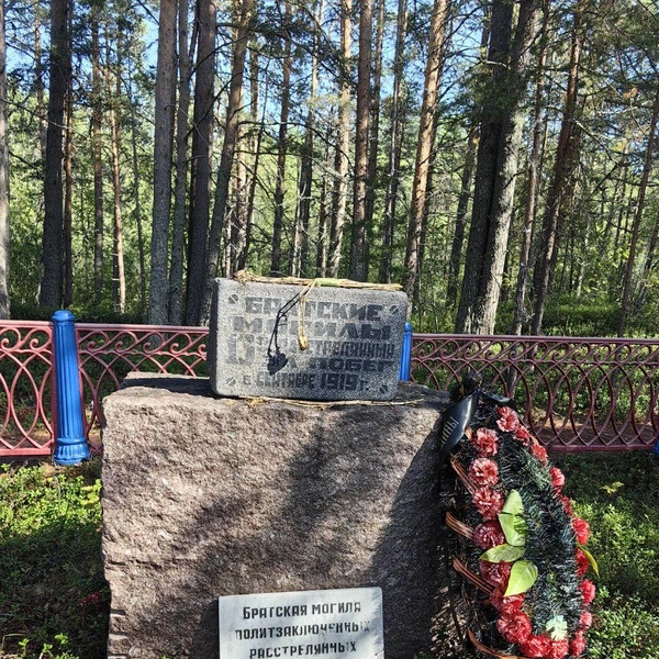 Источник: Ксения Потеева / Фонтанка.ру