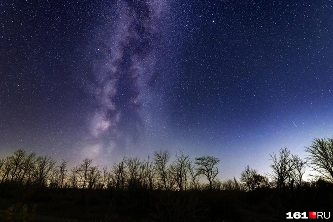 Правда, красиво? | Источник: Евгений Вдовин / 161.RU