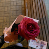 userpic__Лиза Демченко