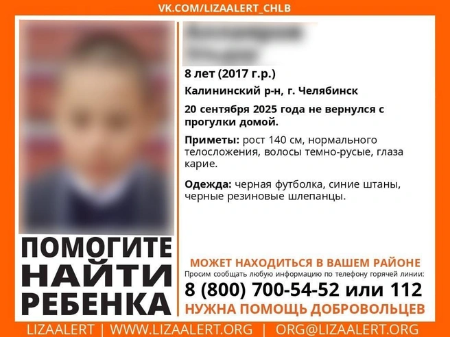 Источник: lizaalert_chlb / vk.com