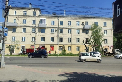 Многолетние ивы вырубили на проспекте Фрунзе в Томске