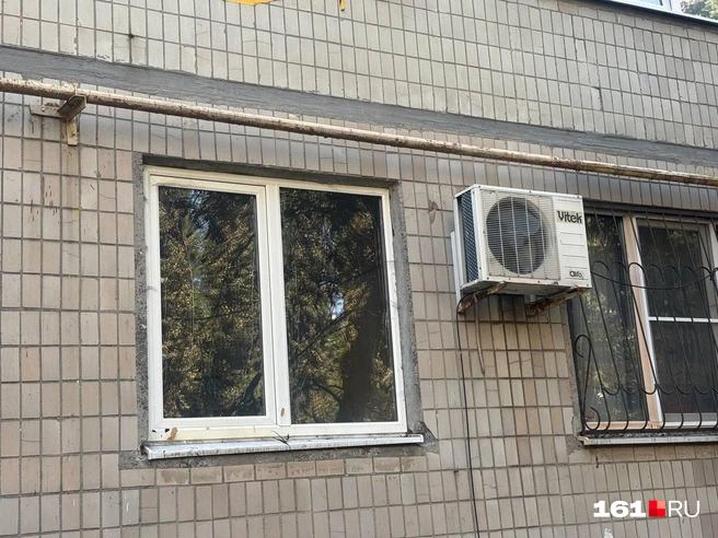 Жильцам побило стекла на нескольких этажах — из-за веток горящего дерева | Источник: Марина Рыбалкина / 161.RU