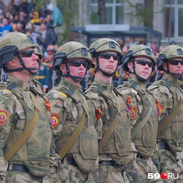 Кинологи из Пермского военного института войск нацгвардии | Источник: Тимофей Калмаков / 59.RU