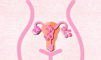 Размеры яичников в норме и при патологии — это надо знать каждой женщине