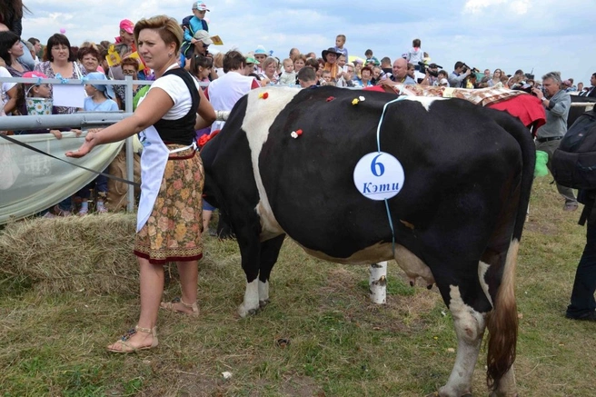 конкурс красоты
