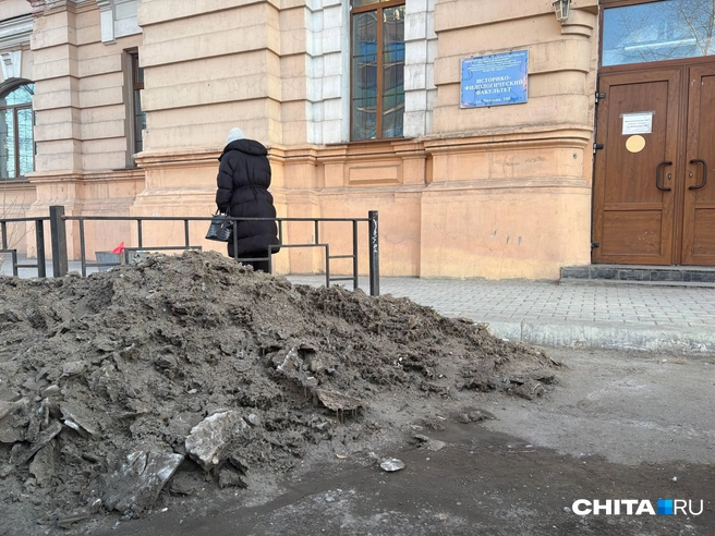 Студентов встречает серый сугроб | Источник: очевидец