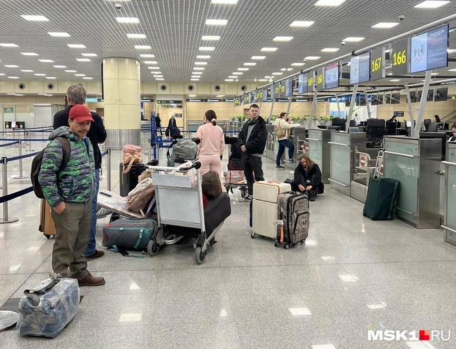 Так пассажиры сидели в Шереметьево у стоек регистрации в ожидании новостей о рейсах | Источник: читательница MSK1.RU