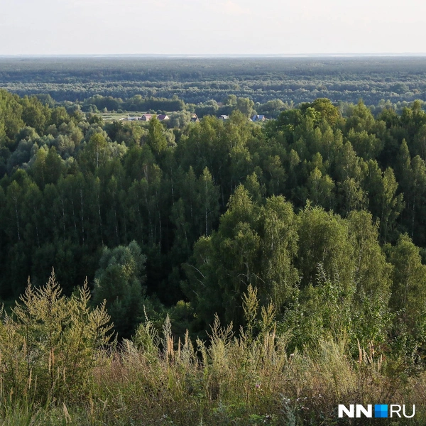Зато можно полюбоваться красивыми видами | Источник: Наталья Бурухина / NN.RU