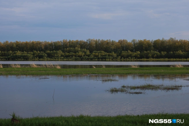 В дороге можно любоваться красотой природы | Источник: Евгений Софийчук / NGS55.RU