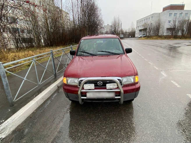 Источник: пресс-служба УМВД России по Мурманской области