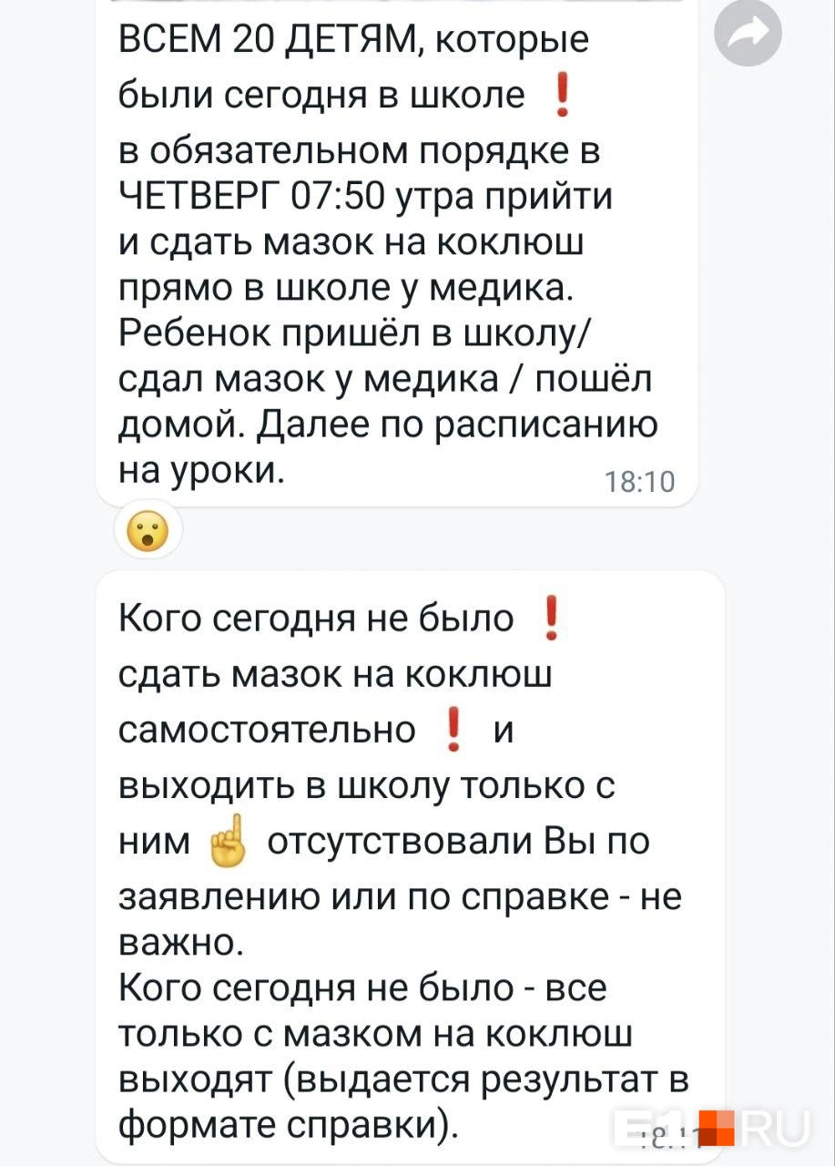 Вот такое сообщение получили родители от классного руководителя | Источник: читательница E1.RU