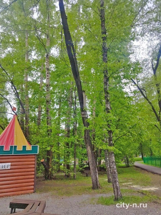 Источник: city-n.ru