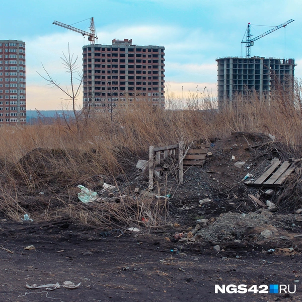 Источник: Валерия Городецкая / NGS42.RU