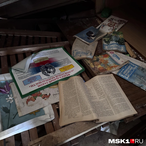 Источник: Алина Мельникова / MSK1.RU