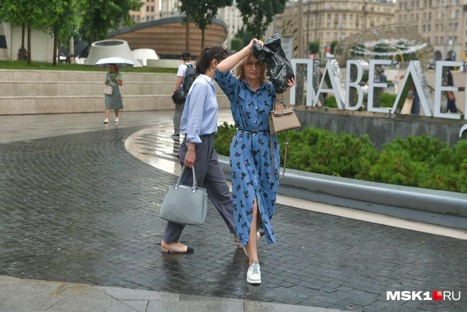 МЧС выпустило экстренное предупреждение о непогоде в Москве и области | Источник: Артем Устюжанин / MSK1.RU
