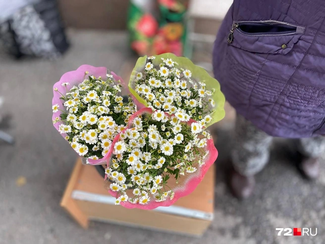 Продают на Холодильной и садовые ромашки | Источник: Дарья Макеева / 72.RU